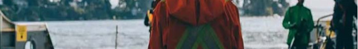 Shop Helly Hansen
