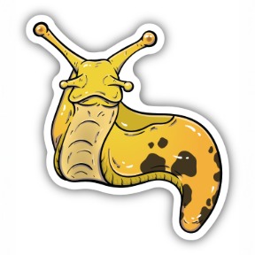 BANANA SLUG STICKER