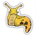 BANANA SLUG STICKER