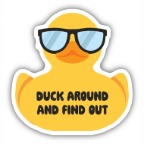 DUCK AROUND AND FIND OUT STICKER