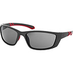 PUNISHER SAFETY GLASSES WITH GRAY POLARIZED LENS