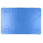 Pyramex Safety Accessories C160 Blue Cooling Towel